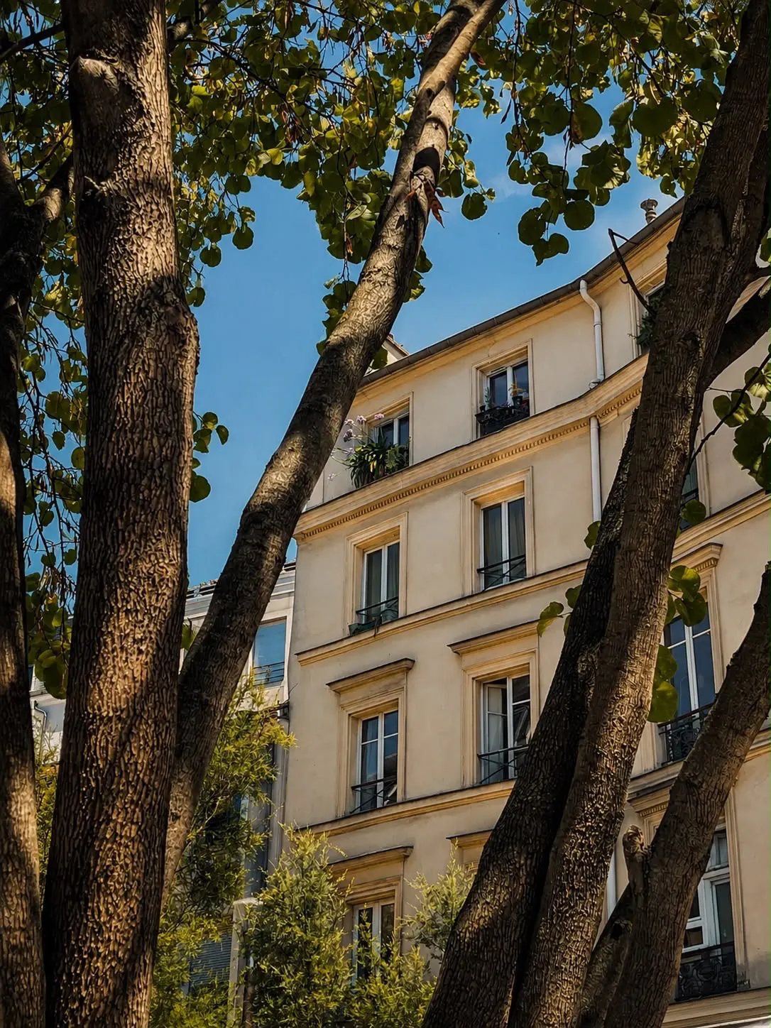 Vincennes Centre-ville   Charmant 2 pièces au dernier étage avec vue sur le Château